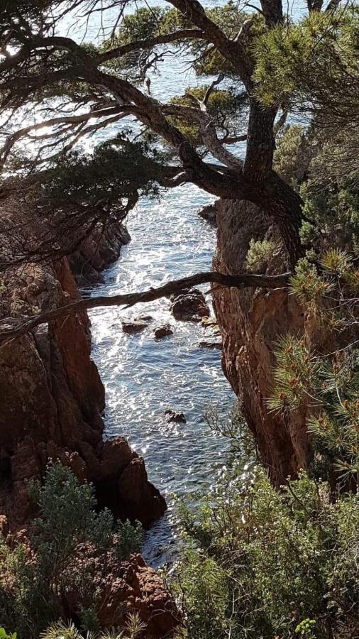 Saint Raphael, Cap Esterel Le Hameau. Vue Mer מראה חיצוני תמונה